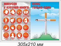 Информационный плакат Минусов у курения много плюс только один (профиль серебро) (305х210; Пластик ПВХ 2 мм, алюминиевый профиль; )