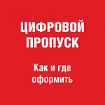 На сайте правительства Москвы появился раздел для оформления цифровых пропусков